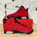 Air Jordan 6 Toro Bravo Sz 12 DS