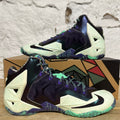Nike LeBron 11 NOLA Gumbo League Gator King Sz 10 DS
