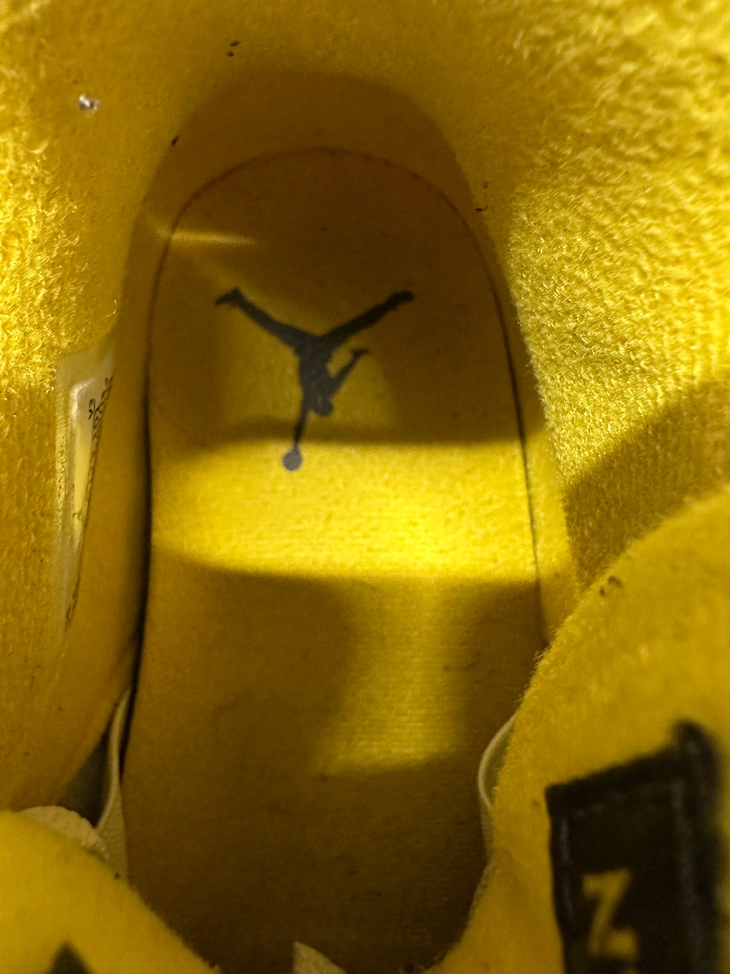 Air Jordan 4 Vivid Sulfur Sz 10 (11.5W)
