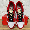 Nike Dunk Low Chicago Split Sz 10.5 DS