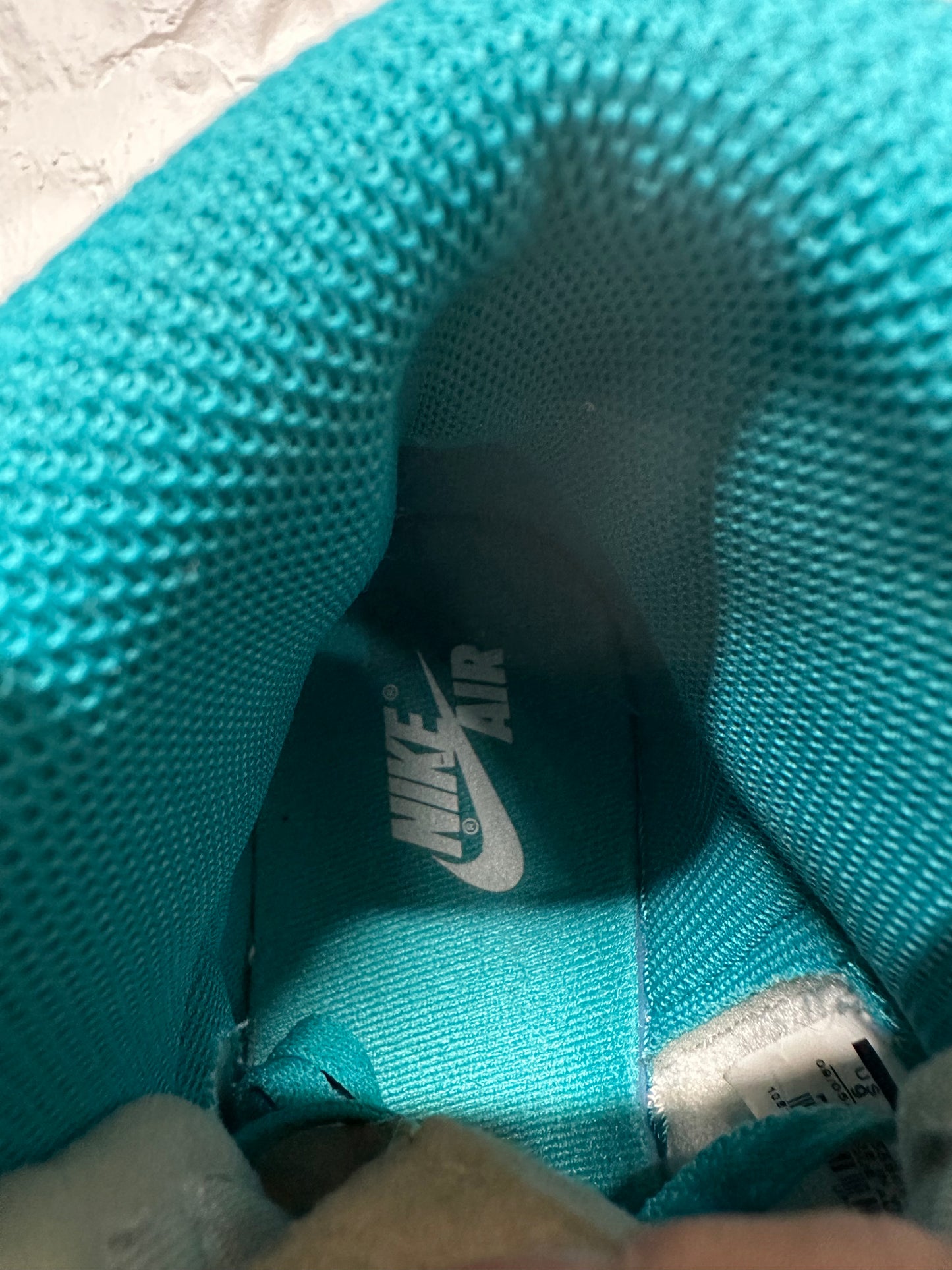 Air Jordan 1 Turbo Green Sz 9