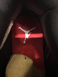 Air Jordan 3 Animal Instinct Sz 8.5 DS