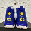 Air Jordan 9 Kobe Bryant PE Sz 14