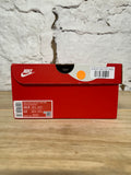 Nike Dunk High World Champs Sz 10.5 DS