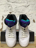 Air Jordan 5 Grape Sz 10.5