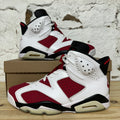 Air Jordan 6 Carmine (2021) Sz 9.5