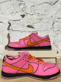 Nike SB Dunk Low Powerpuff Blossom Sz 10.5