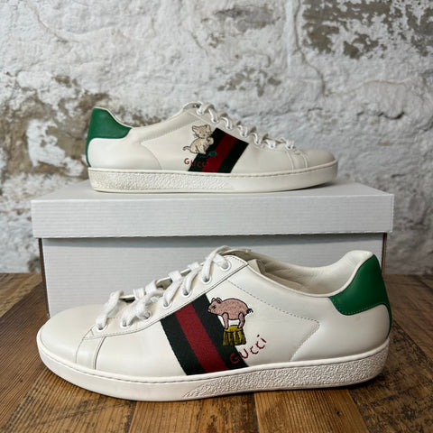 Gucci Ace Pig Cat White Sneaker Sz 8 No Box