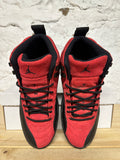 Air Jordan 12 Reverse Flu Game Sz 8
