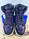 Nike SB Dunk High Grand Purple Black Sz 9.5