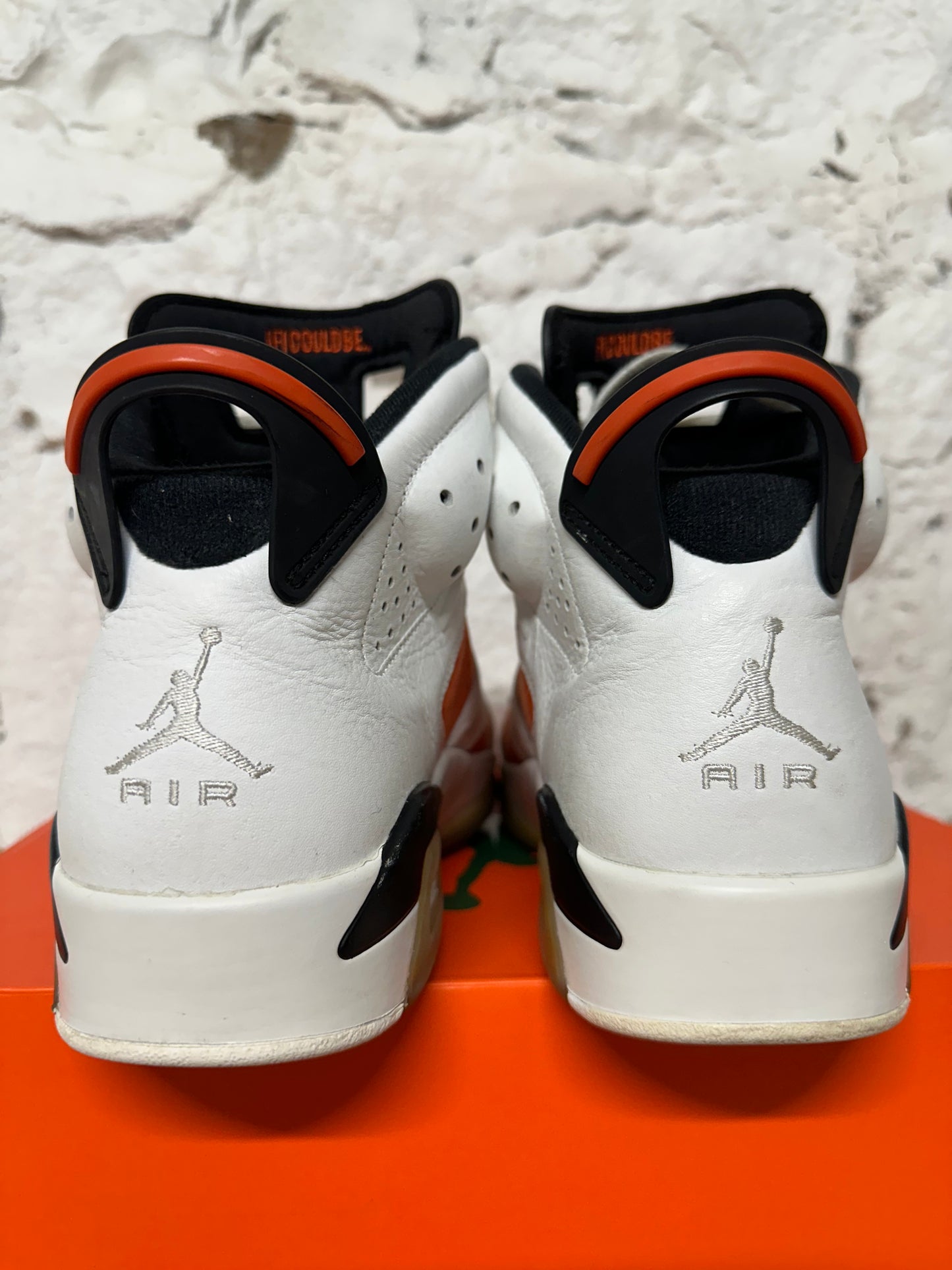 Air Jordan 6 Gatorade Like Mike Sz 9