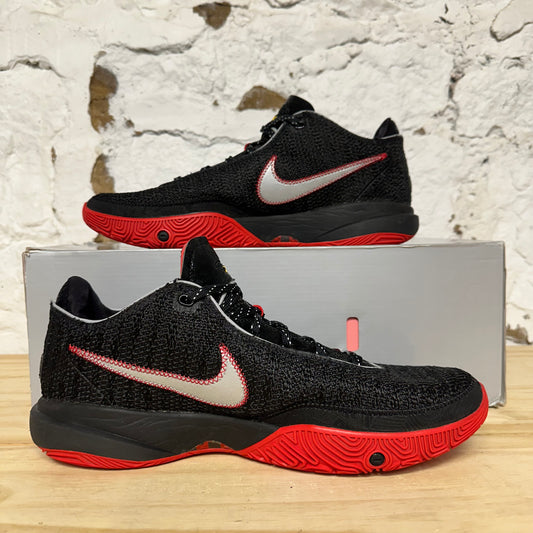 Nike LeBron 20 Miami Heat Sz 13