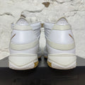 Nike LeBron 3 West Coast Sz 10 DS
