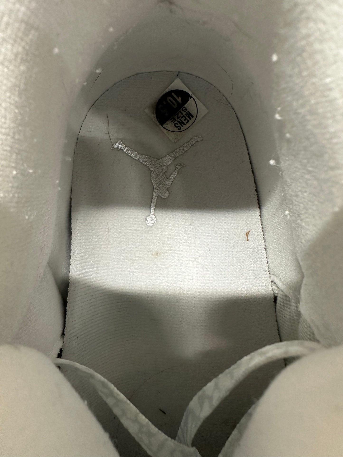 Air Jordan 3 Pure Money Sz 10.5