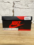 Air Jordan 1 High Shattered Backbaord 3.0 Sz 11