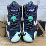 Nike LeBron 11 NOLA Gumbo League Gator King Sz 9