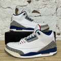 Air Jordan 3 True Blue (2016) Sz 14