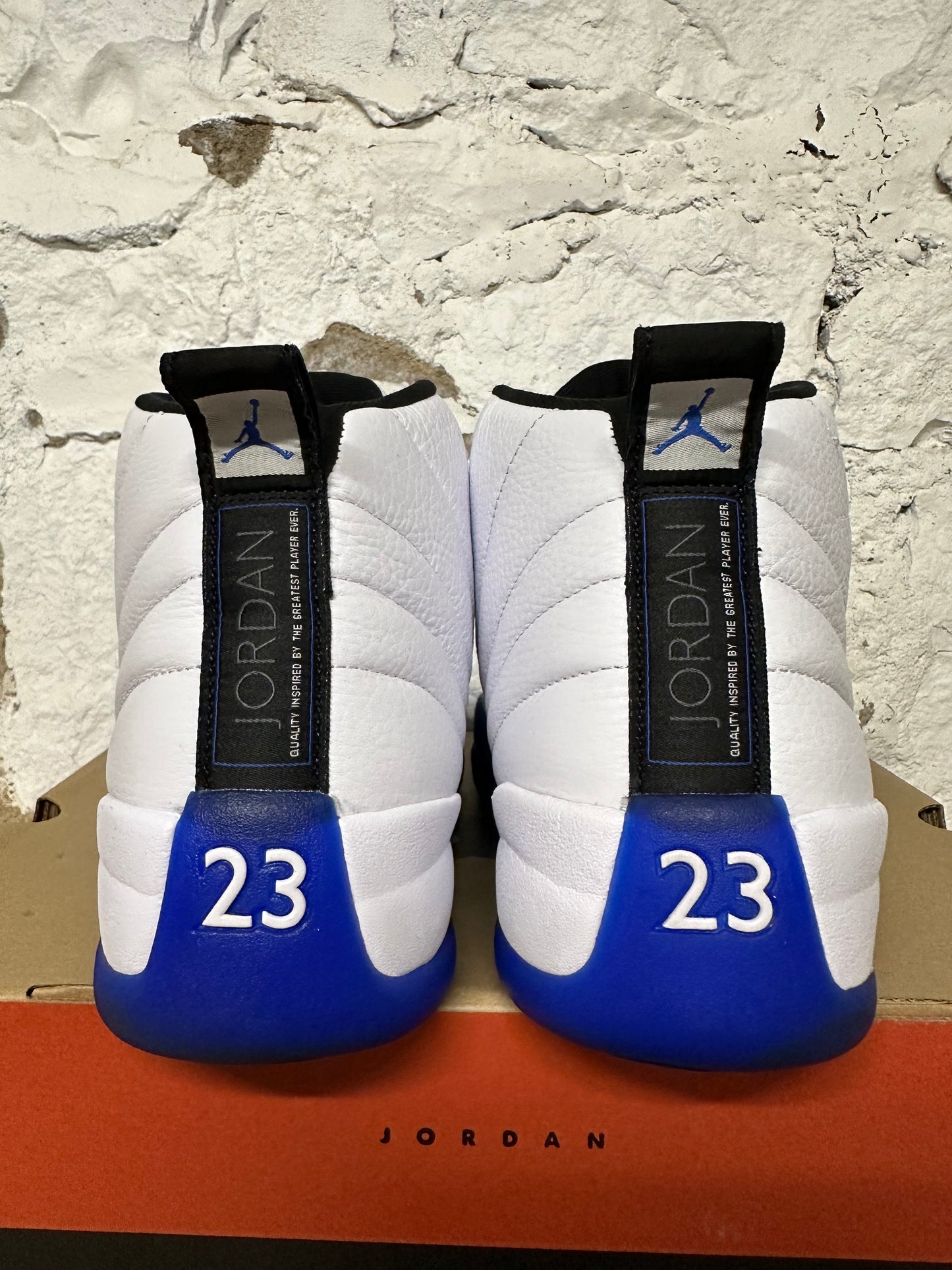 Air Jordan 12 Blueberry Sz 12