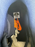 Nike Dunk Low Michigan Sz 9 DS