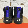 Air Jordan 12 Dark Concord Sz 8