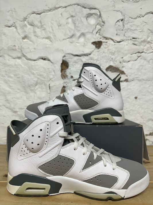 Air Jordan 6 Cool Grey Sz 10.5