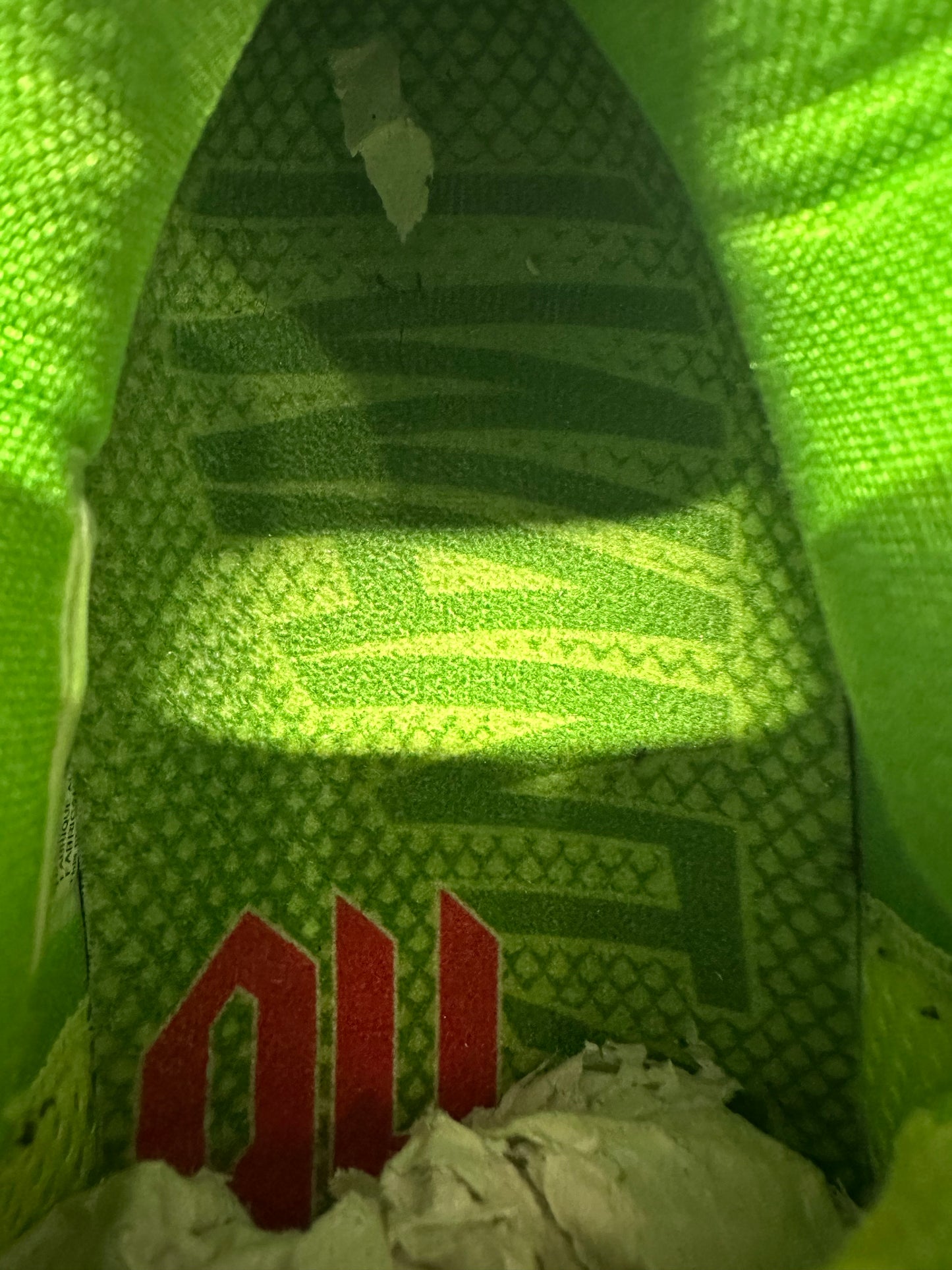 Nike Kobe 6 Protro Grinch Sz 9.5