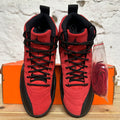 Air Jordan 12 Reverse Flu Game Sz 8 DS