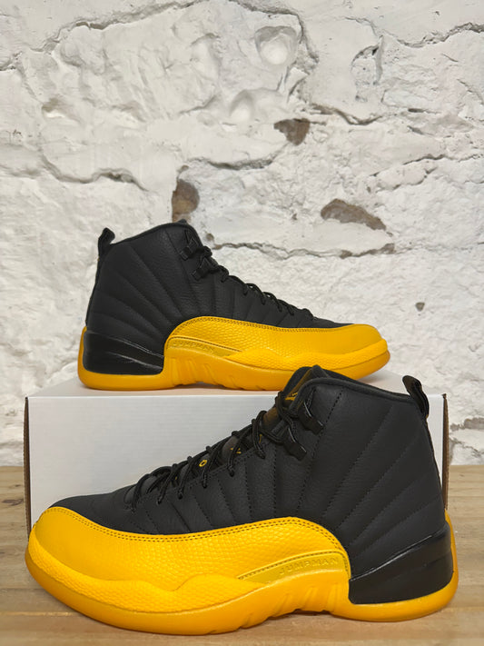 Air Jordan 12 Black University Gold Sz 10