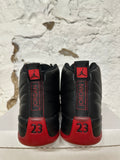 Air Jordan 12 Flu Game Sz 10.5