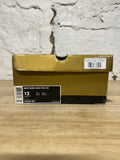 Nike Dunk High Ferris Bueler Sz 12