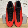 Air Jordan 14 Ferrari (2025) Sz 10 DS