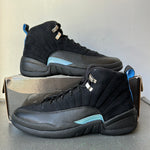 Air Jordan 12 Nubuck Sz 9.5 DS