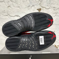 Air Jordan 12 Bloodline Sz 12 DS