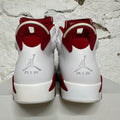 Air Jordan 6 Alternate Hare Sz 10