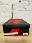 Air Jordan 1 University Blue Sz 10