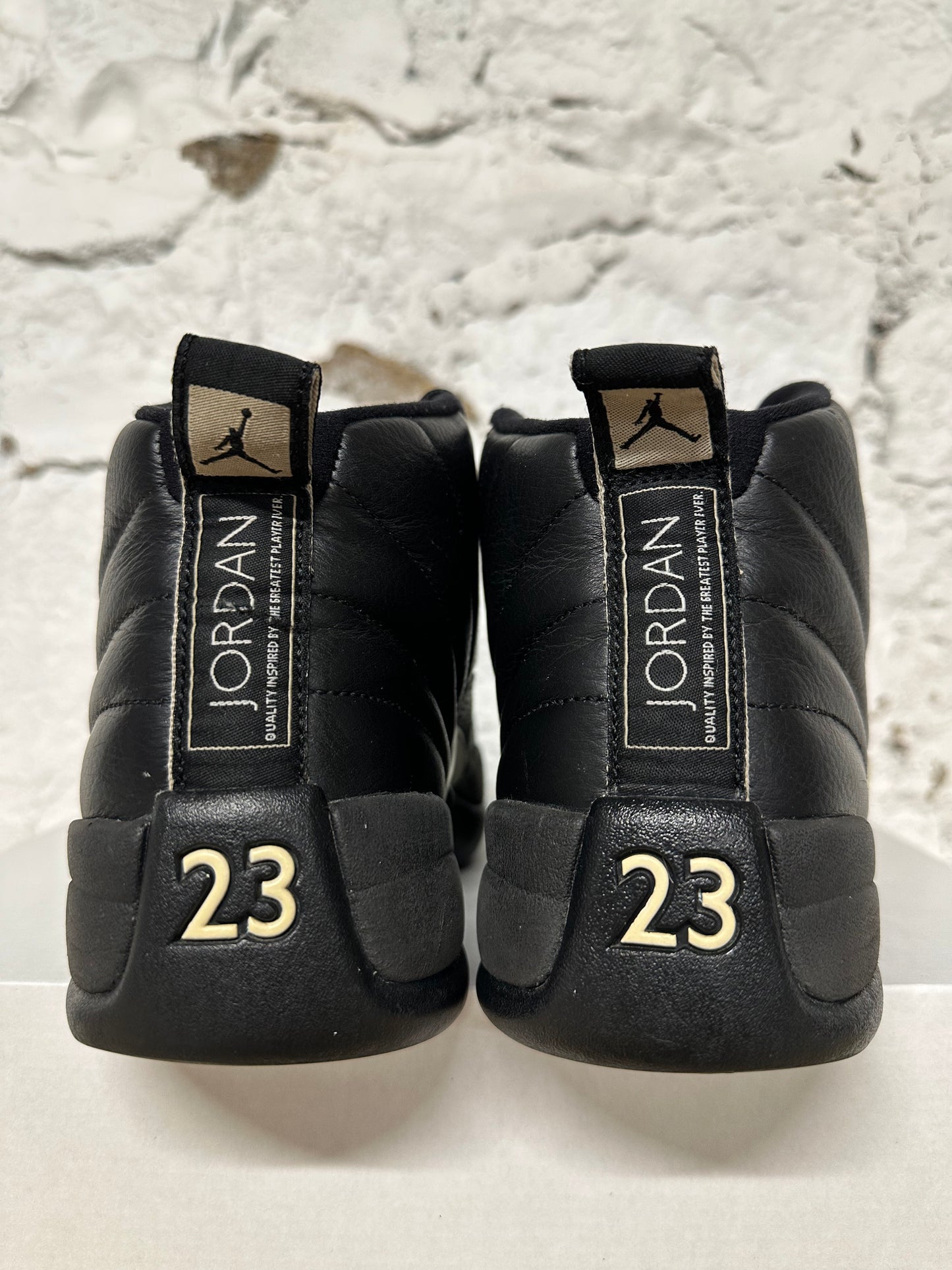 Air Jordan 12 The Master Sz 8