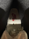 Air Jordan 1 High Lost and Found Sz 10