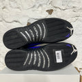 Air Jordan 12 Dark Concord Sz 15