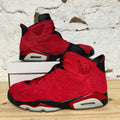 Air Jordan 6 Toro Bravo Sz 12