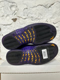 Air Jordan 12 Field Purple Sz 10