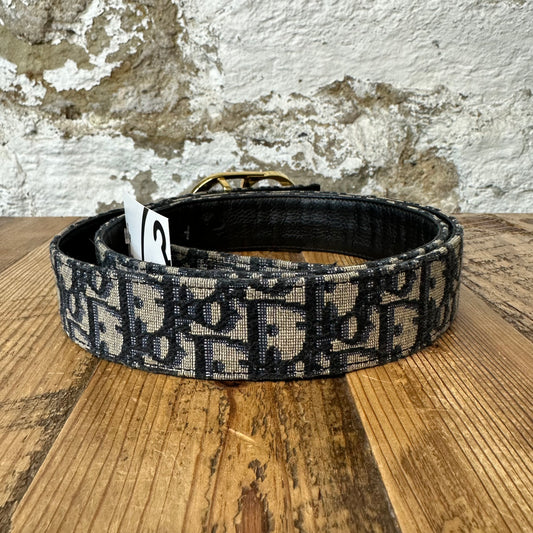 Dior Gold CD Buckle Blue Trotter Belt Sz (110/44)