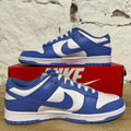 Nike Dunk Low Polar Blue Sz 10.5