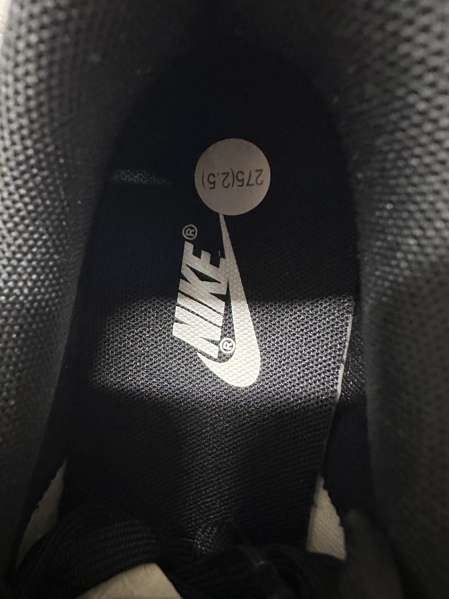 Nike Dunk Low EMB Chicago Sz 9.5 DS