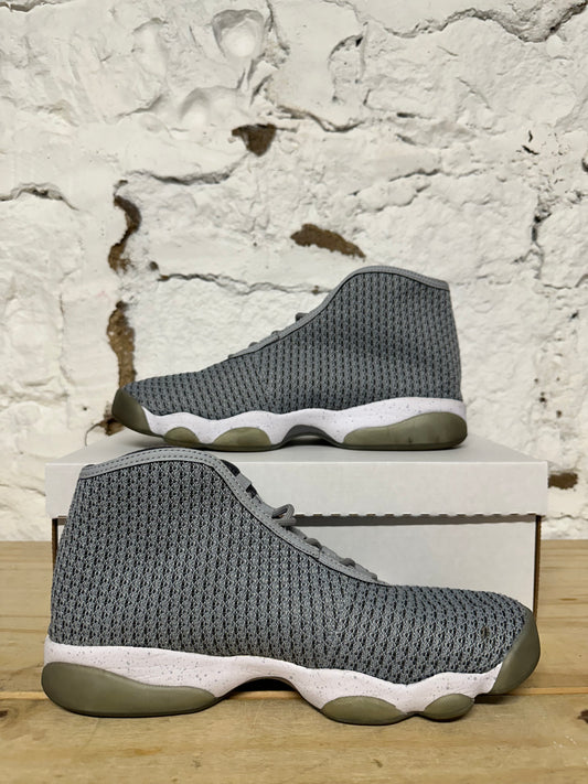 Air Jordan Horizon Grey Sz 10.5