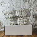 Prada Cloudbust Thunder Triple White Sneaker Sz 6 (38)