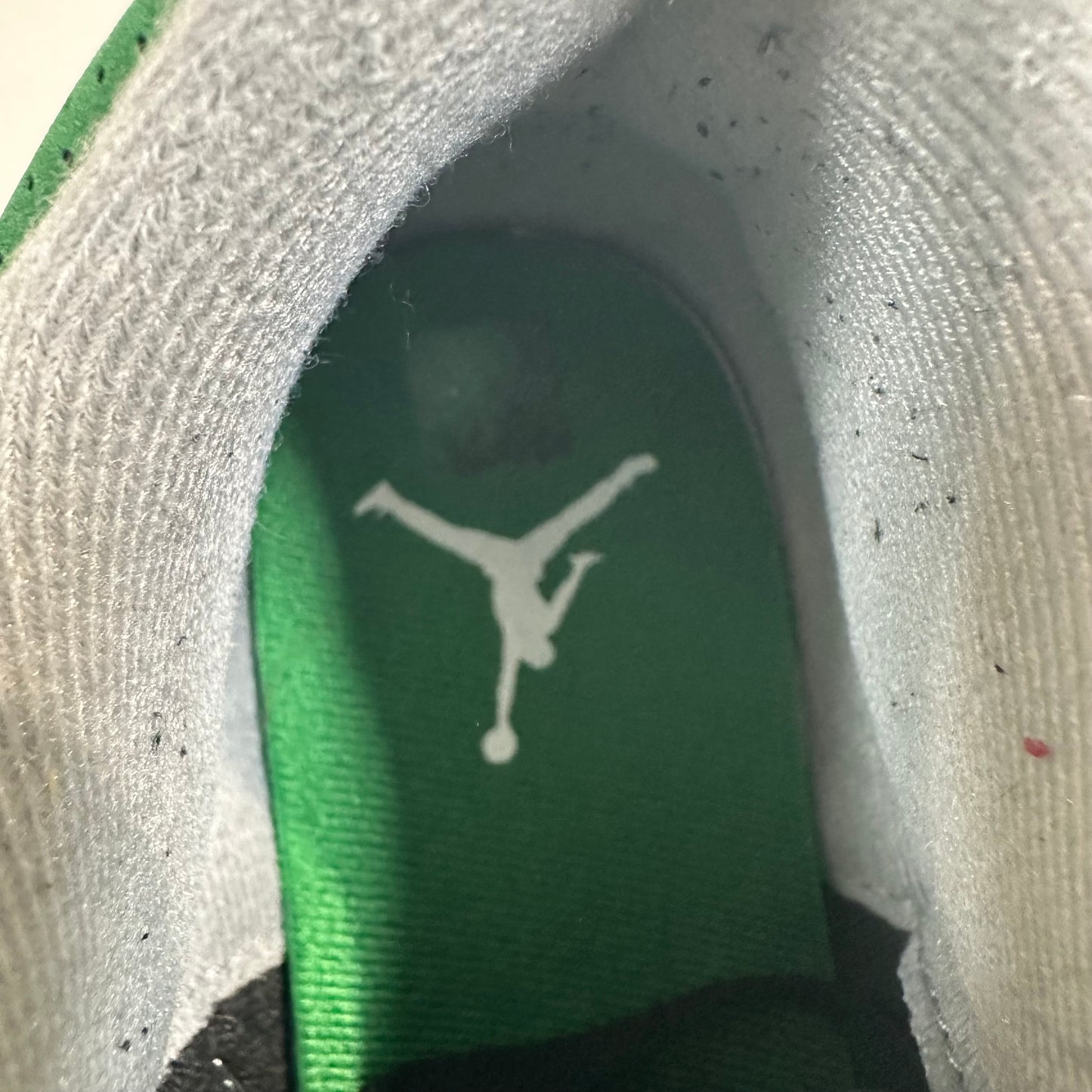 Air Jordan 3 Pine Green Sz 8.5