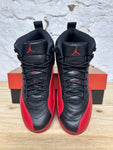 Air Jordan 12 Flu Game Sz 11