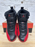 Air Jordan 12 Flu Game Sz 11