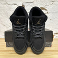 Air Jordan 3 Black Cat (2025) Sz 8