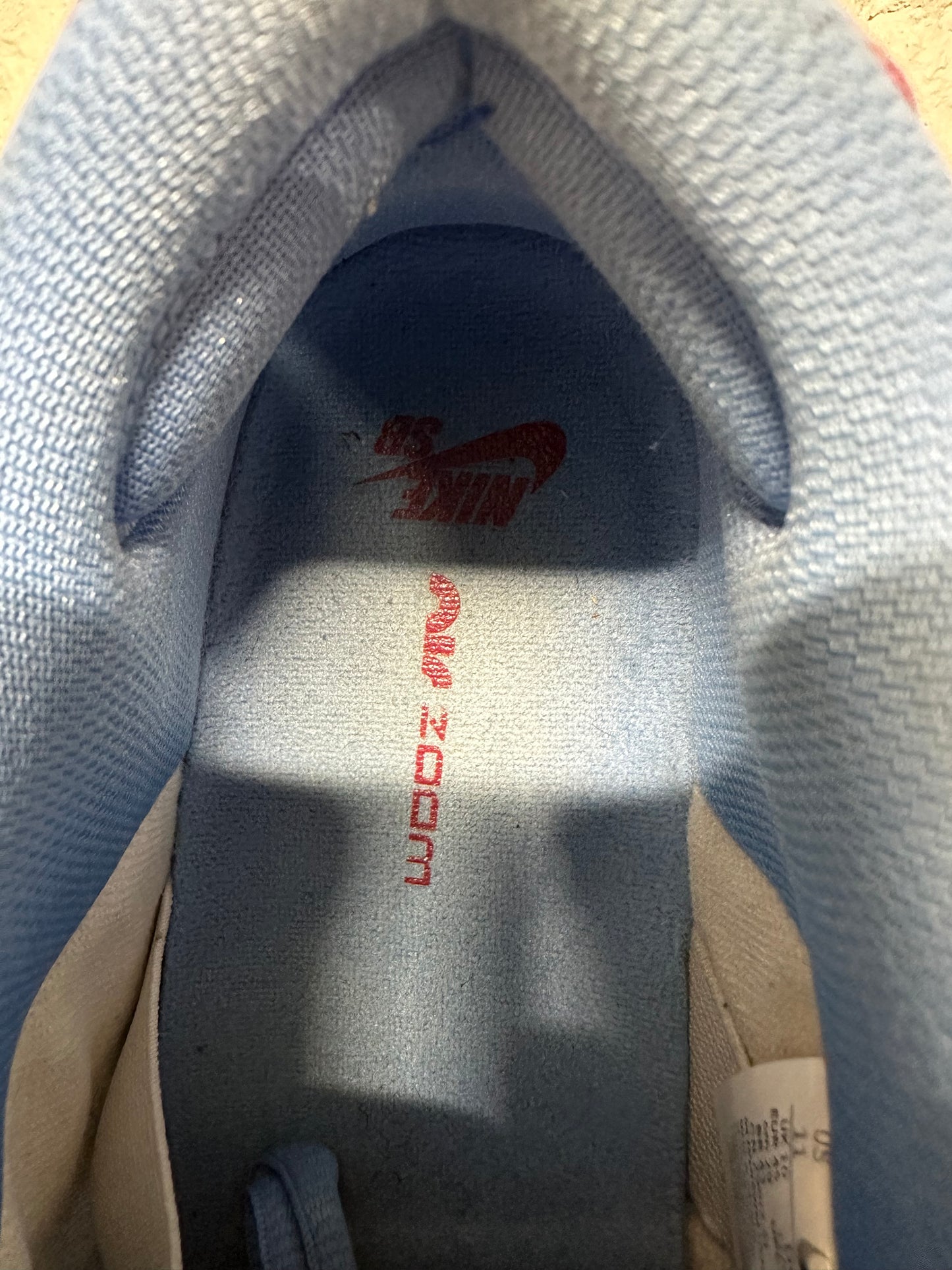 Nike Dunk SB Low Phillies Sz 11